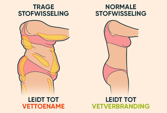 Vetverbranding of vet toename bij vrouwen?